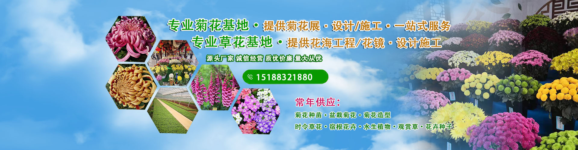 諸城市日通機(jī)械有限公司